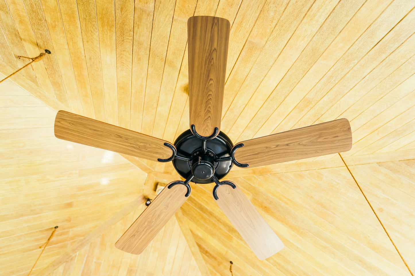 Mounting TV and Hanging Ceiling Fan