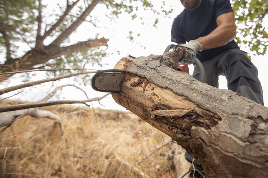 Tree Removal and Pruning