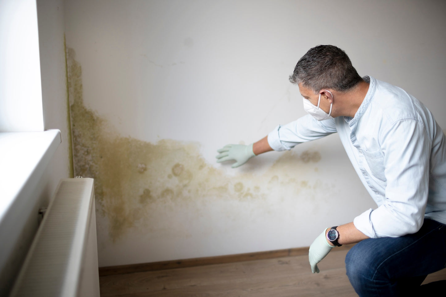 Mold and Mildew Removal