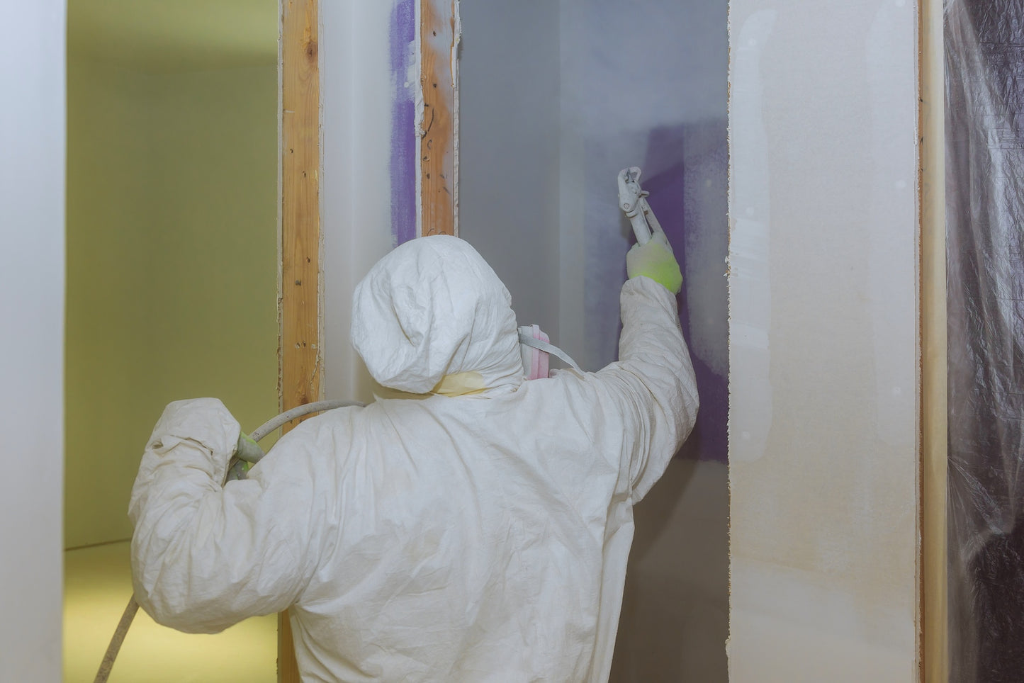 Mold and Mildew Removal